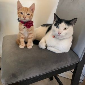 Meet your Posher, Karla